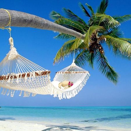Affordable Two Bedroom Tropical Condo - Private Beach, Pools, Hot Tub St. Petersburg Eksteriør bilde
