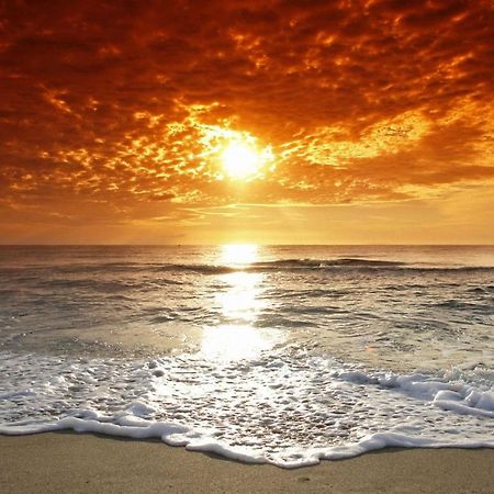 Affordable Two Bedroom Tropical Condo - Private Beach, Pools, Hot Tub St. Petersburg Eksteriør bilde