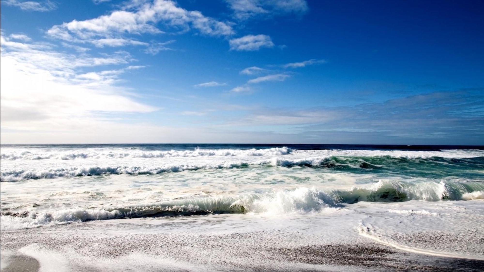 Affordable Two Bedroom Tropical Condo - Private Beach, Pools, Hot Tub St. Petersburg Eksteriør bilde
