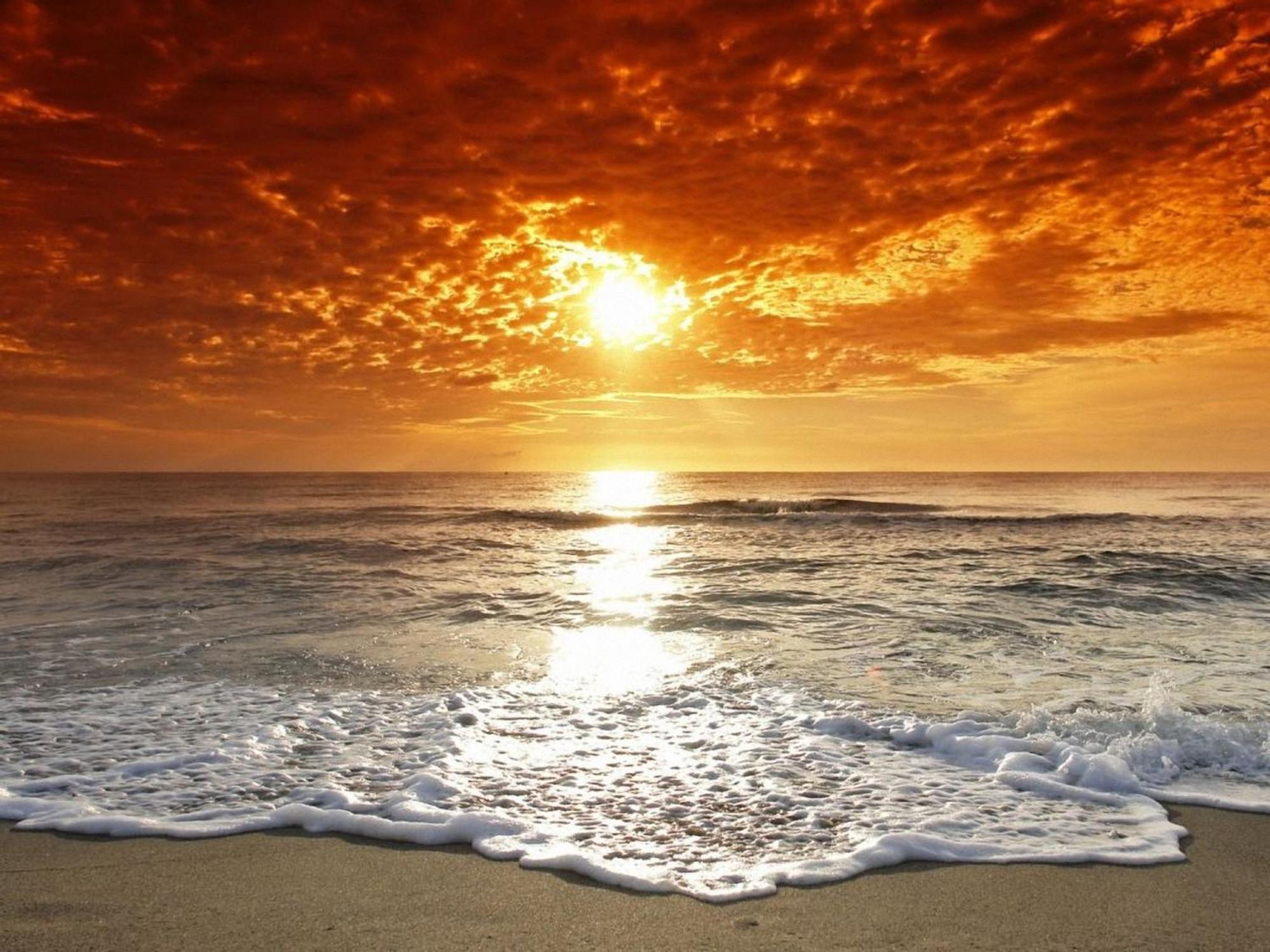 Affordable Two Bedroom Tropical Condo - Private Beach, Pools, Hot Tub St. Petersburg Eksteriør bilde