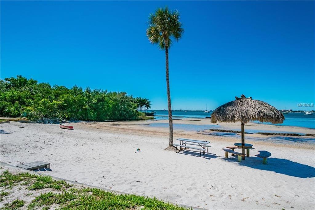 Affordable Two Bedroom Tropical Condo - Private Beach, Pools, Hot Tub St. Petersburg Eksteriør bilde