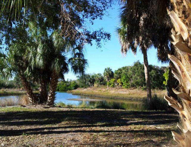 Affordable Two Bedroom Tropical Condo - Private Beach, Pools, Hot Tub St. Petersburg Eksteriør bilde