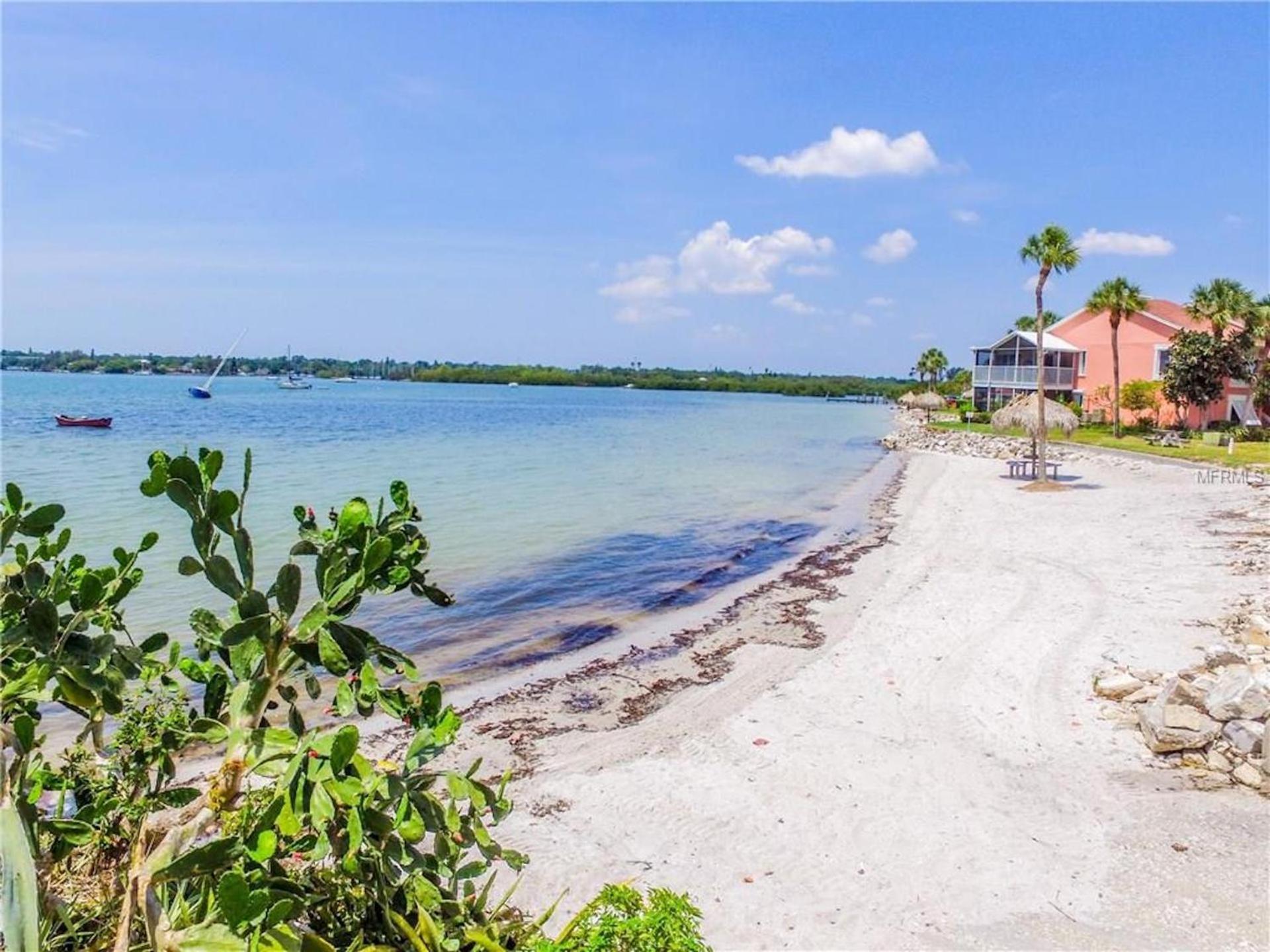 Affordable Two Bedroom Tropical Condo - Private Beach, Pools, Hot Tub St. Petersburg Eksteriør bilde