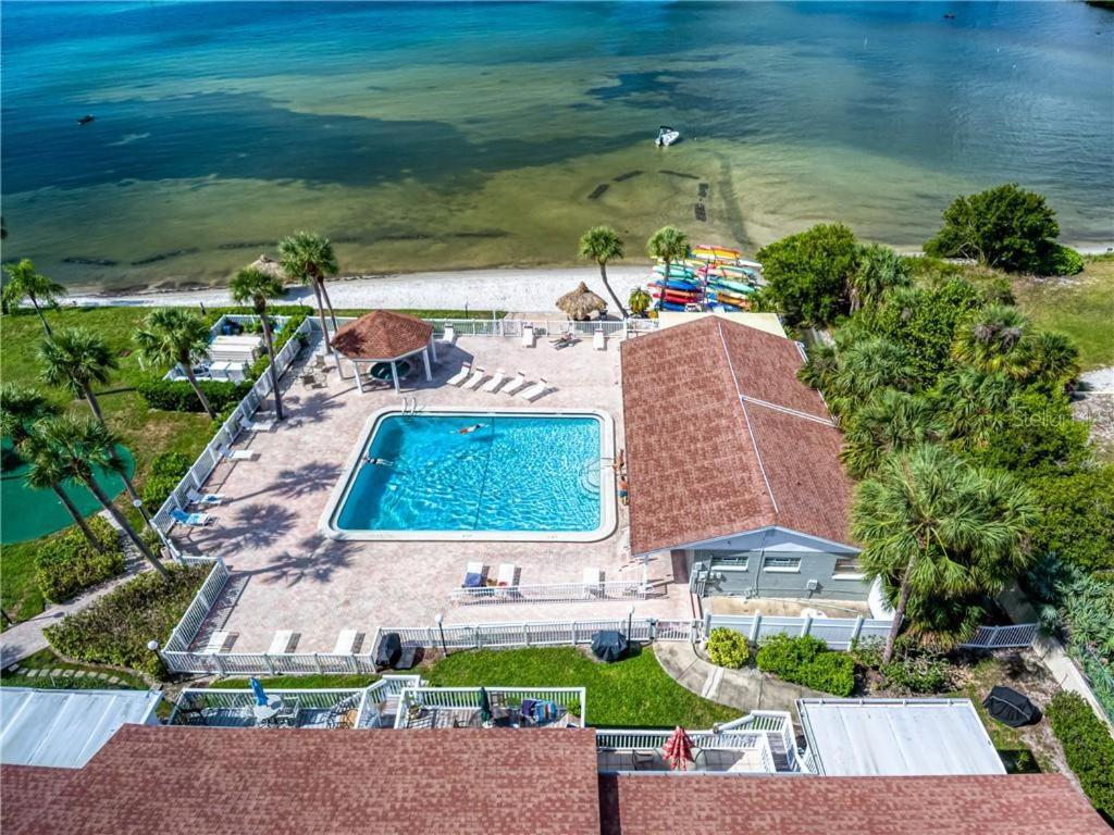 Affordable Two Bedroom Tropical Condo - Private Beach, Pools, Hot Tub St. Petersburg Eksteriør bilde