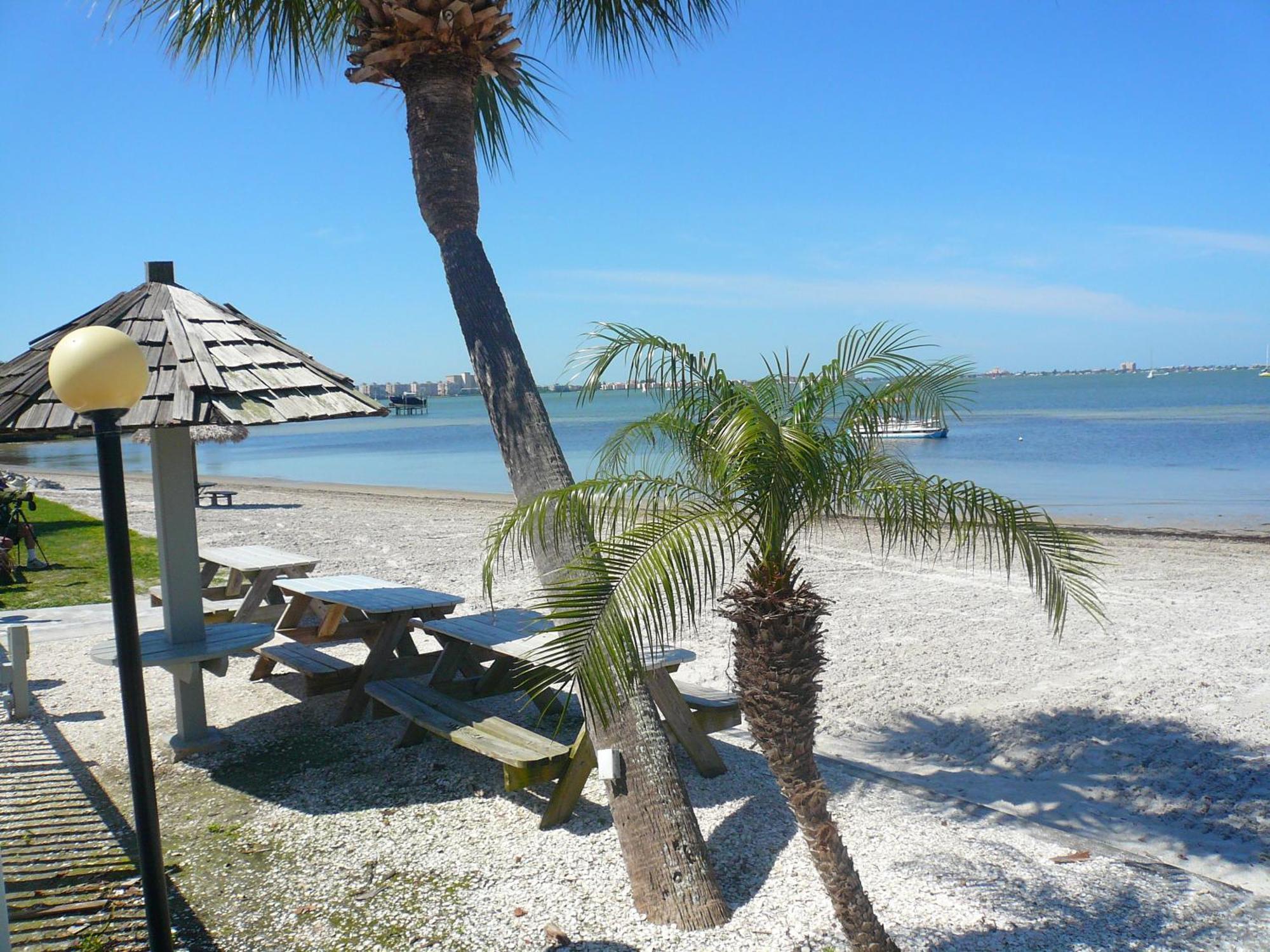 Affordable Two Bedroom Tropical Condo - Private Beach, Pools, Hot Tub St. Petersburg Eksteriør bilde