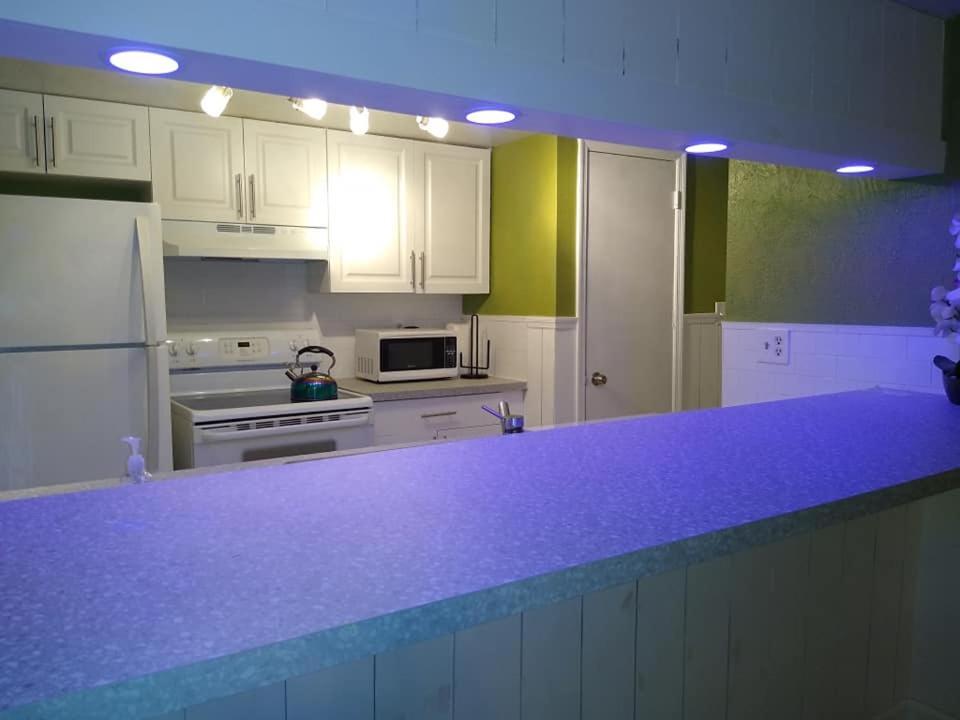 Affordable Two Bedroom Tropical Condo - Private Beach, Pools, Hot Tub St. Petersburg Eksteriør bilde